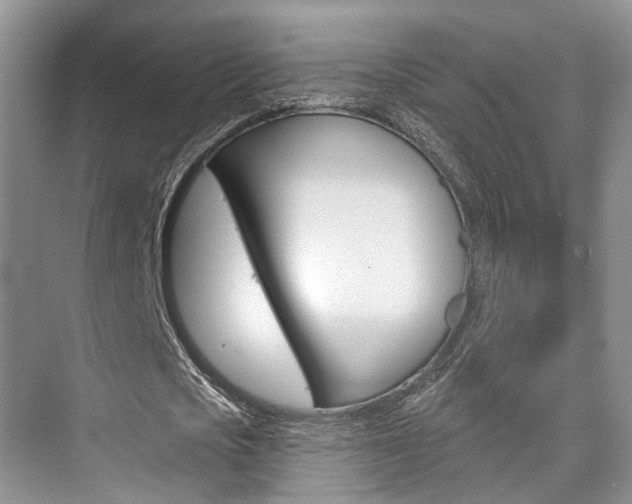 X0000076260721200609281019