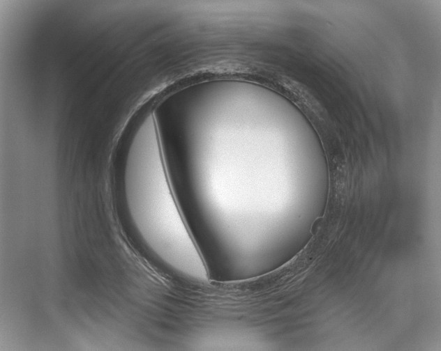 X0000076260727200609281019
