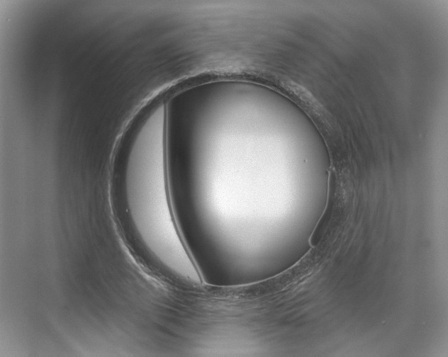 X0000076260728200609281019