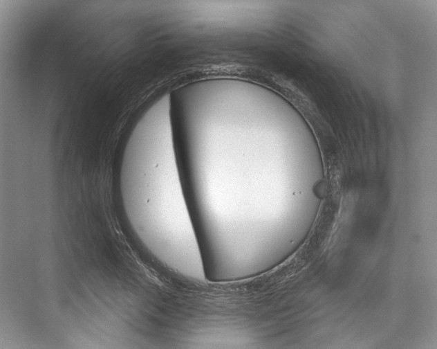X0000076260729200609281019