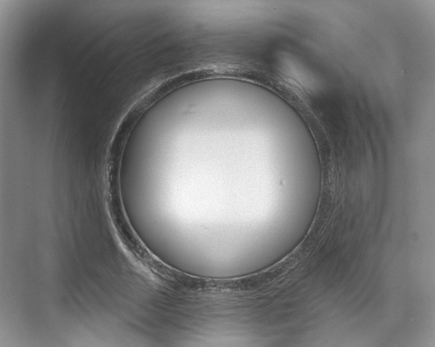 X0000076260730200609281019