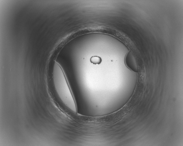 X0000076260732200609281019