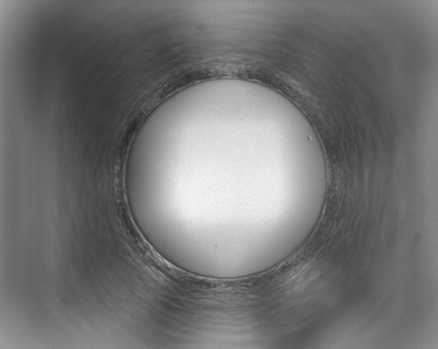 X0000076260737200609281019