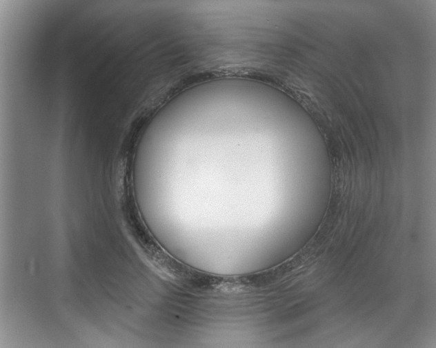 X0000076260742200609281019