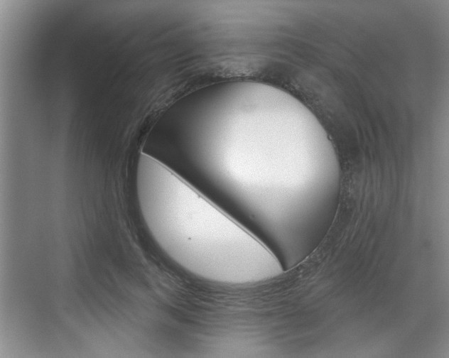 X0000076260743200609281019