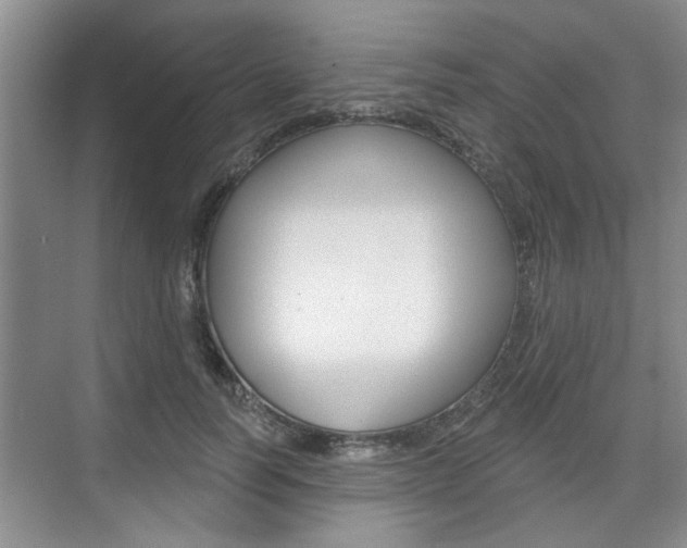 X0000076260746200609281019