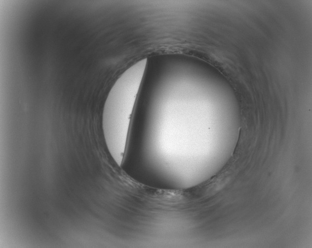 X0000076260768200609281020