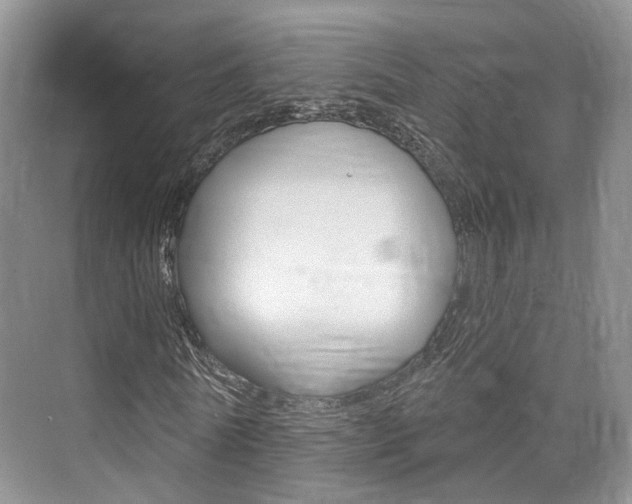X0000076260770200609281019