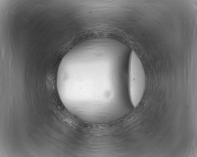 X0000076260772200609281019