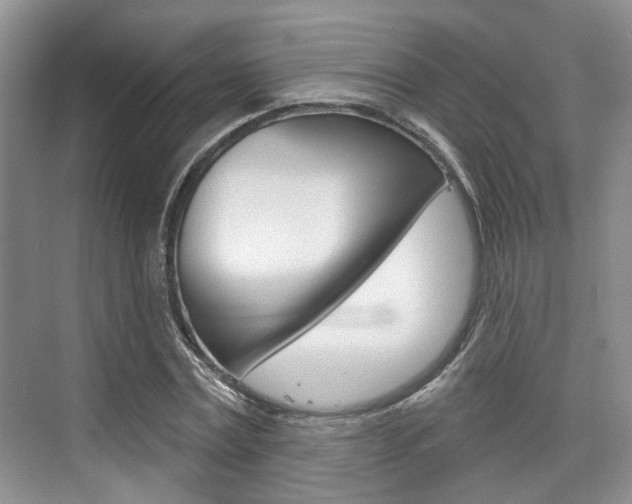 X0000076260779200609281019