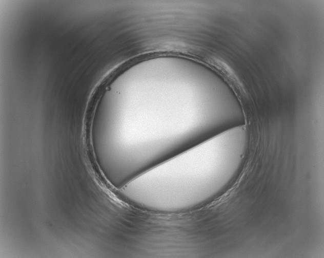 X0000076260780200609281019