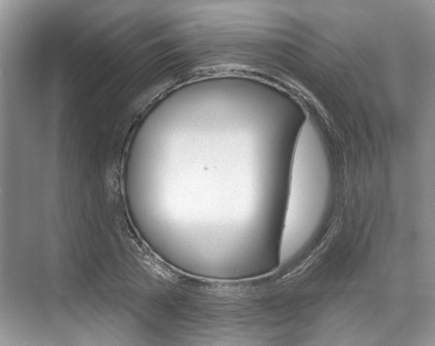 X0000076260785200609281019