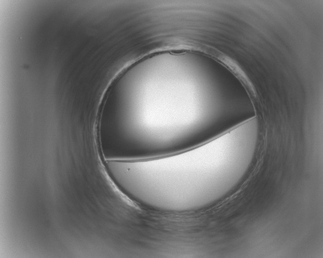 X0000076260805200609281018