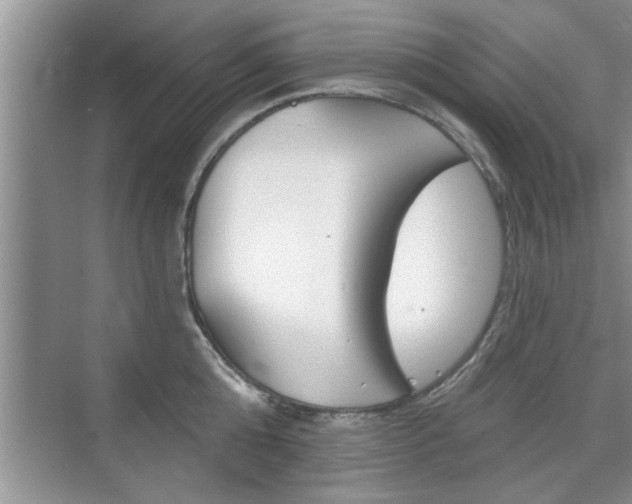 X0000076260808200609281018
