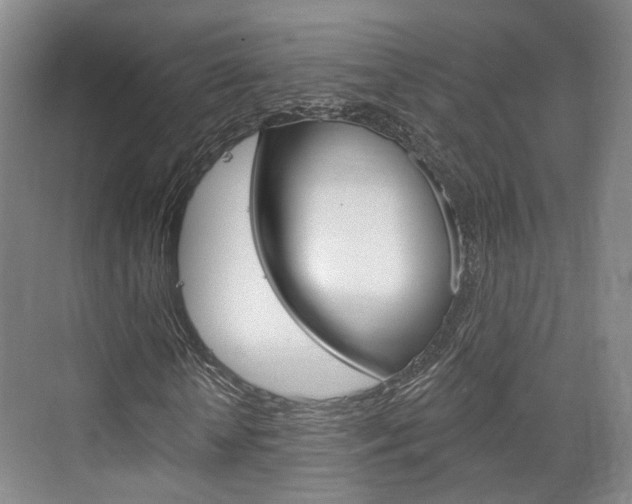 X0000076260818200609281017