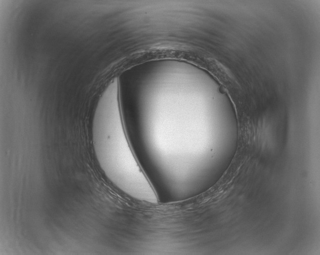 X0000076260821200609281017