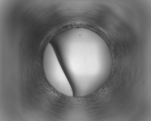 X0000076260823200609281017