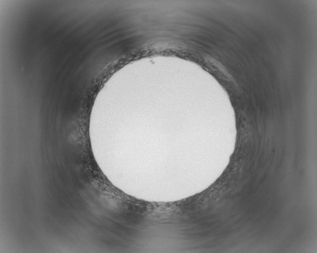 X0000076260824200609281017