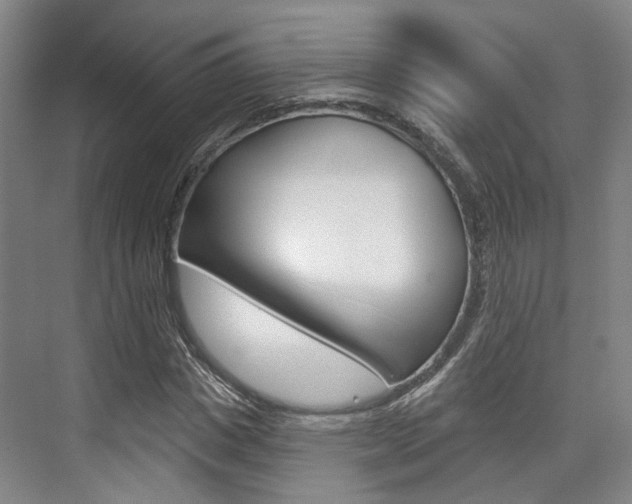 X0000076260825200609281017