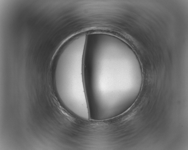 X0000076260830200609281017