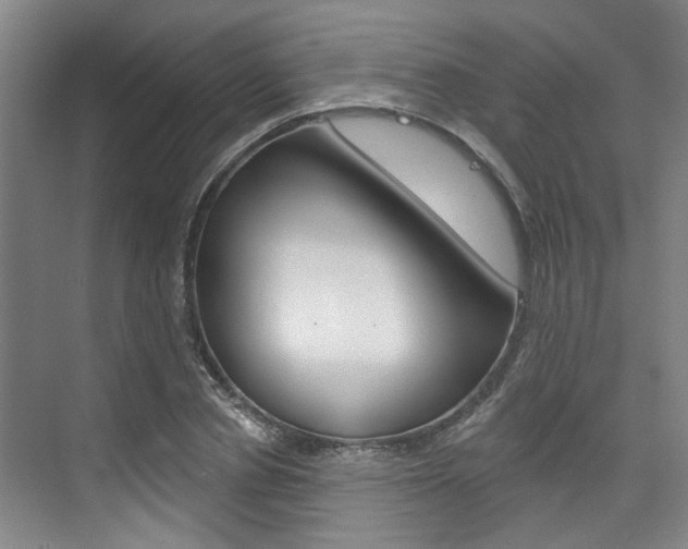 X0000076260834200609281017