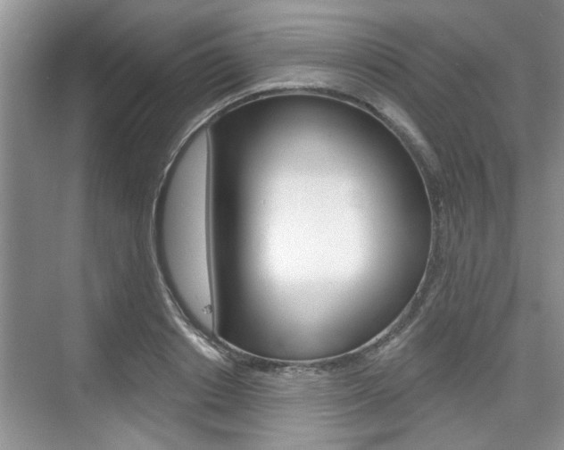 X0000076260842200609281018