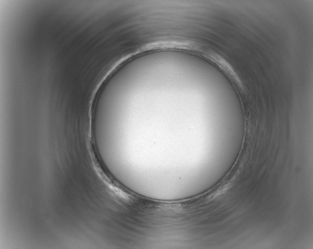 X0000076260844200609281018