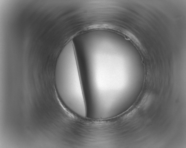 X0000076260849200609281018