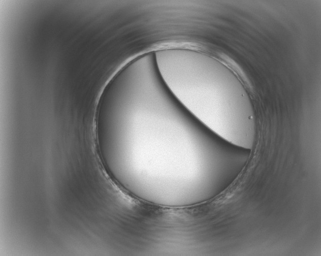 X0000076260852200609281018