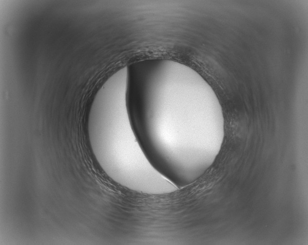 X0000076260865200609281017