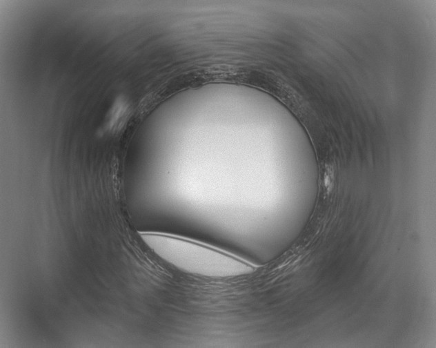 X0000076260867200609281017