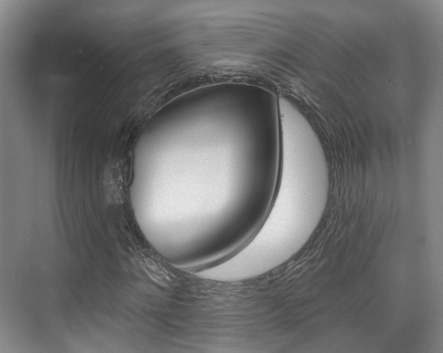X0000076260868200609281017