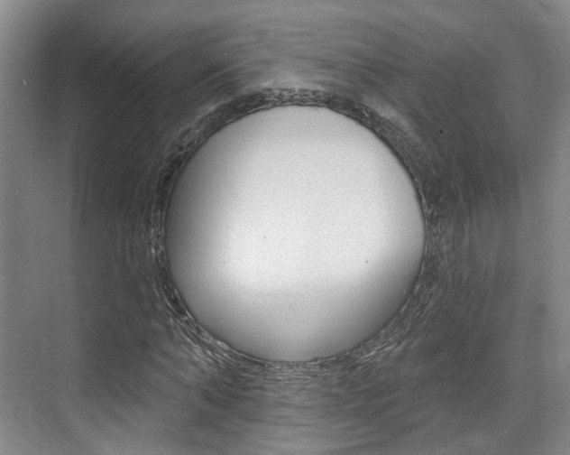X0000076260870200609281017