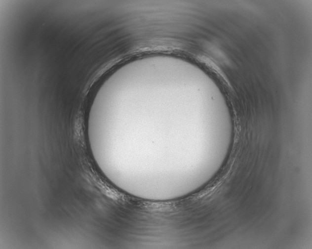 X0000076260874200609281017