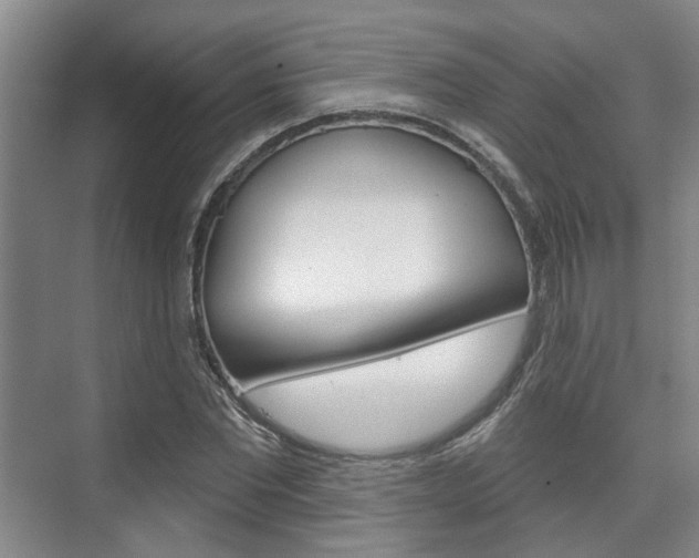 X0000076260877200609281017