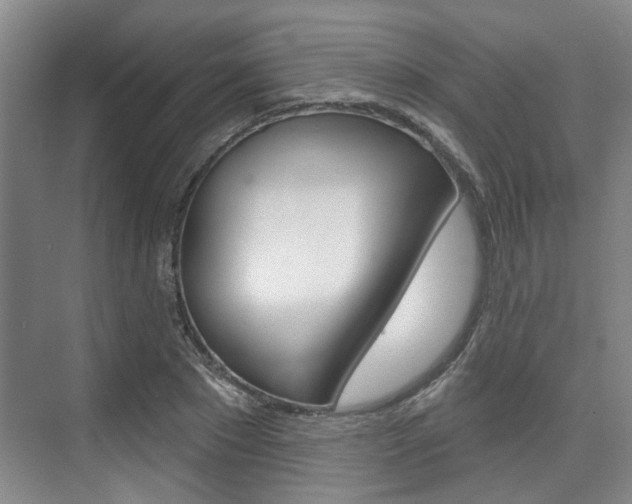 X0000076260881200609281017