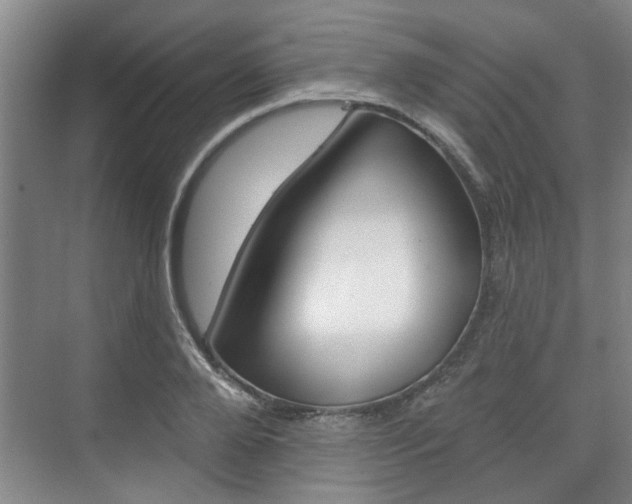 X0000076260888200609281017