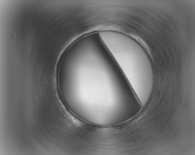 X0000076260894200609281017
