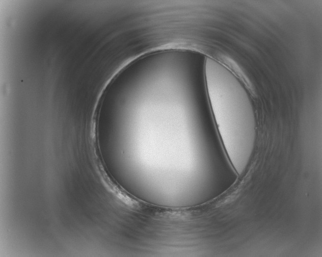 X0000076260900200609281017