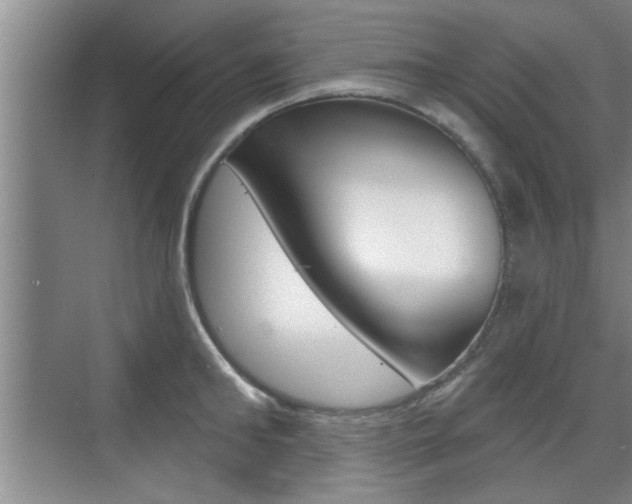 X0000076260902200609281017