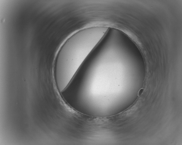 X0000076260912200609281016