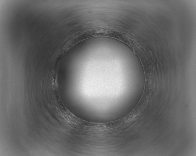 X0000076260916200609281016