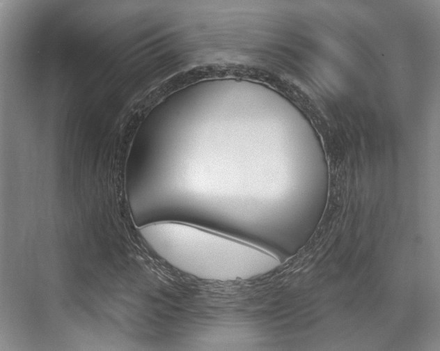 X0000076260919200609281016