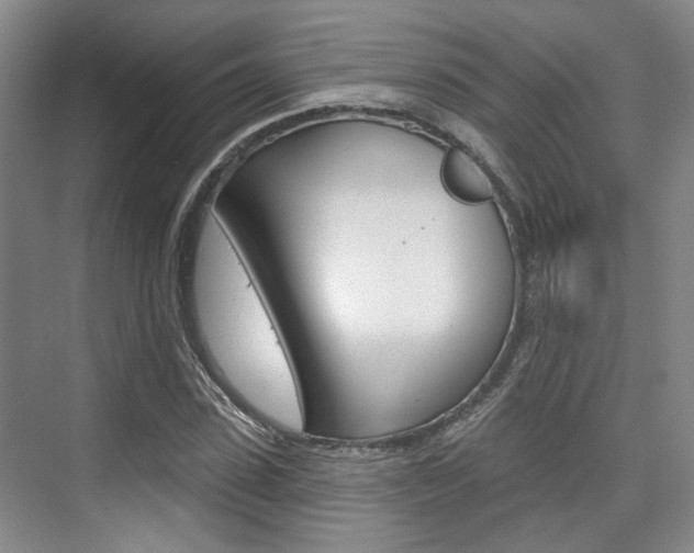 X0000076260923200609281016