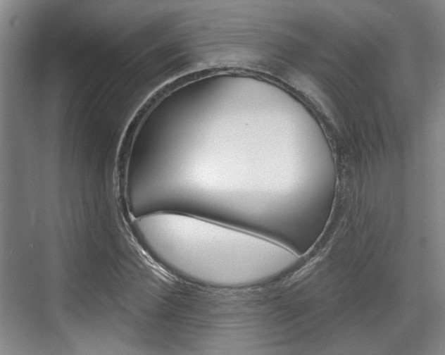 X0000076260924200609281016