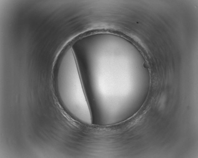 X0000076260927200609281016