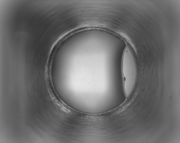 X0000076260928200609281016