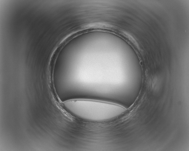 X0000076260931200609281016