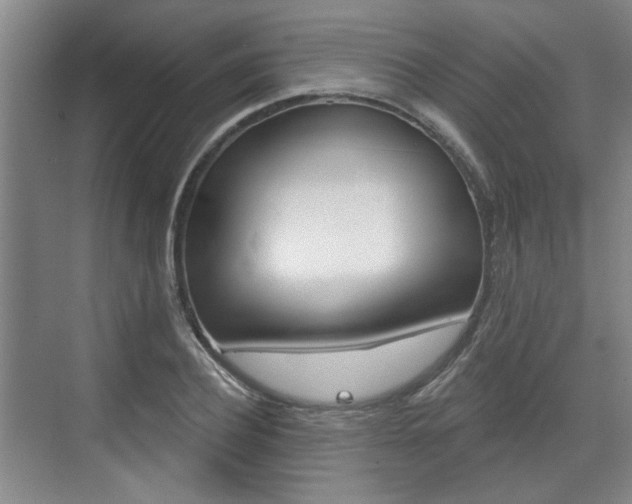 X0000076260932200609281016