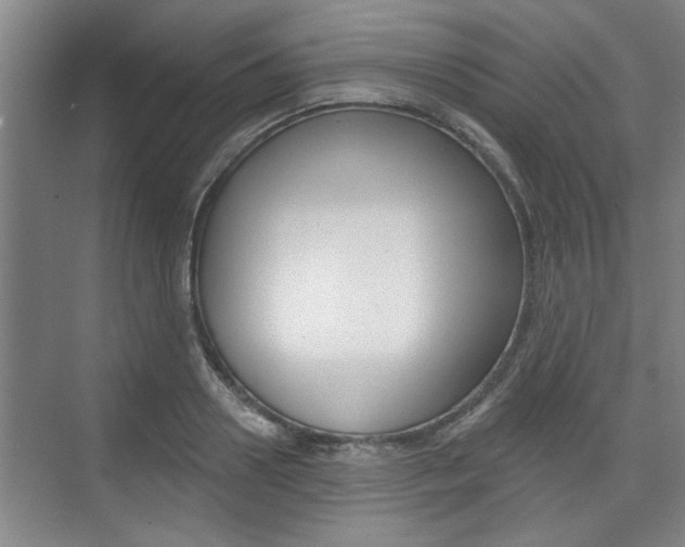 X0000076260938200609281016